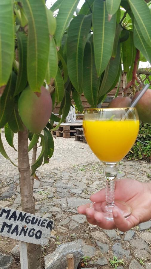 Bed and Breakfast Cote De France Fundura Exterior foto
