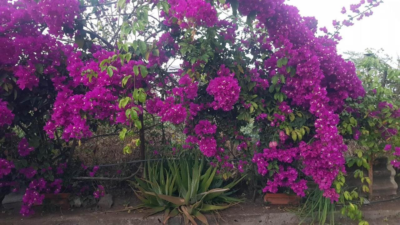 Bed and Breakfast Cote De France Fundura Exterior foto